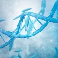 Investigación e innovación