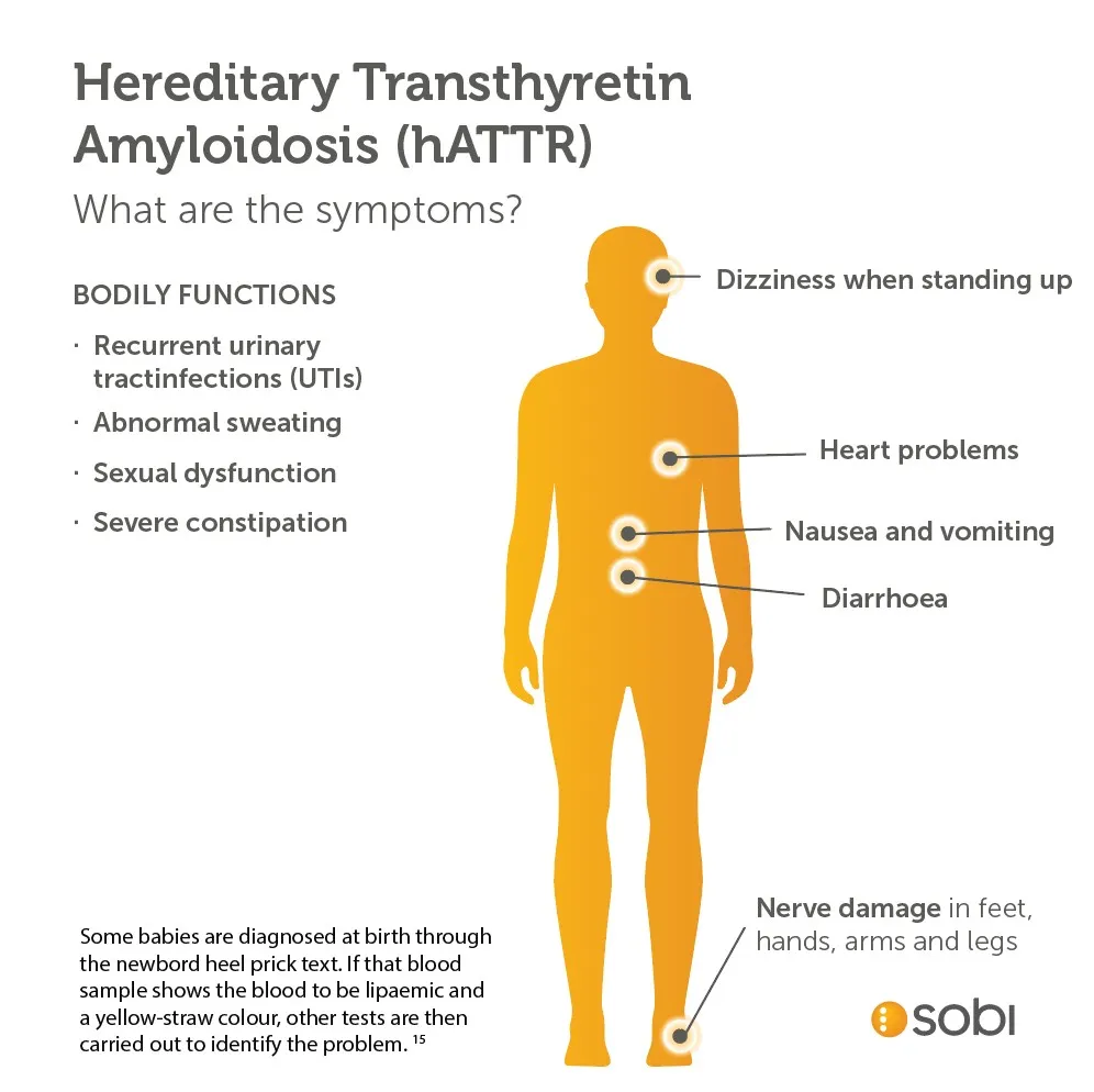 Infographic-hATTR