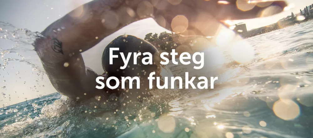 Fyra steg som funkar