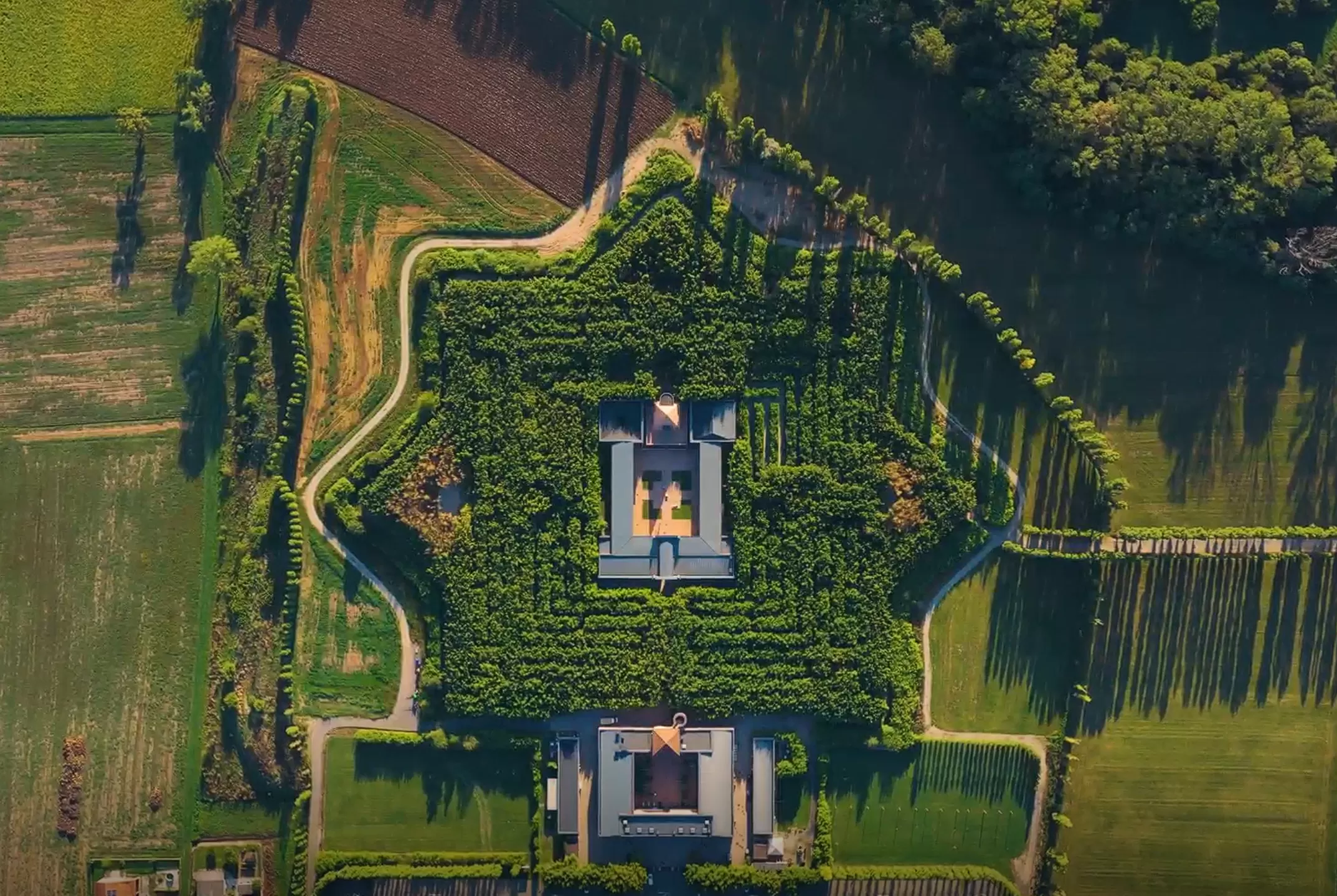 Patiënten met een zeldzame nierziekte verenigen zich voor de Labyrinth Challenge!
