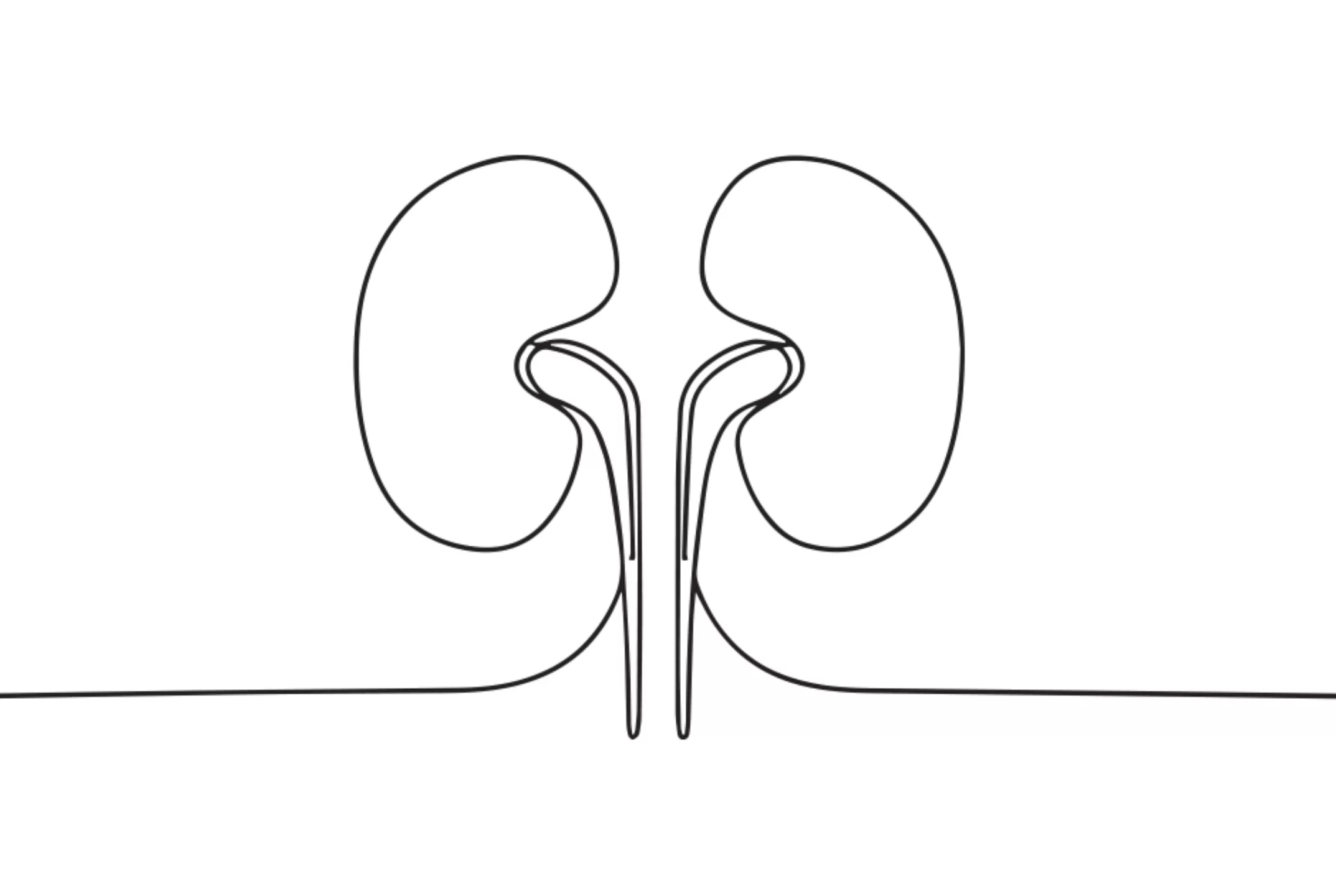 Niernet Flanders en AIRG Belgium delen hun visie op nierziekten en benadrukken het belang van vroegtijdige screening.