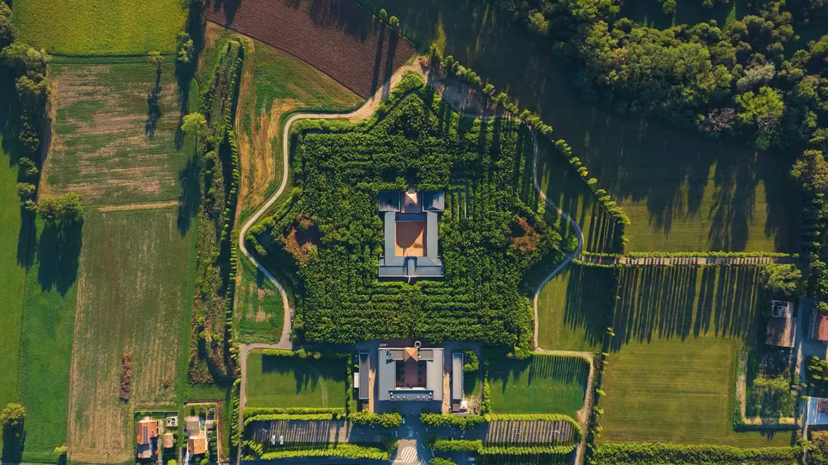 Dokumentären om den sällsynta njursjukdomslabyrinten lanseras  