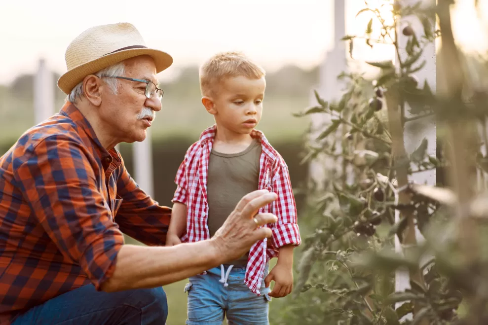 Senior-man-child-plants.jpg