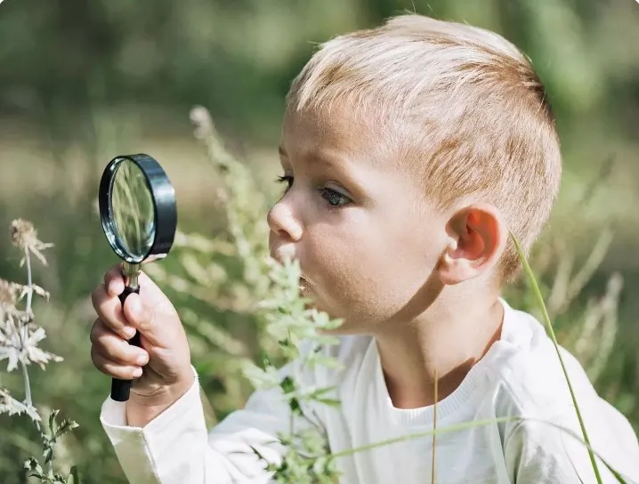 Signpost---boy-with-magnifier.jpg